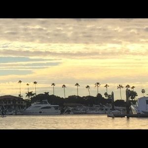 Meet your Posher, Martha